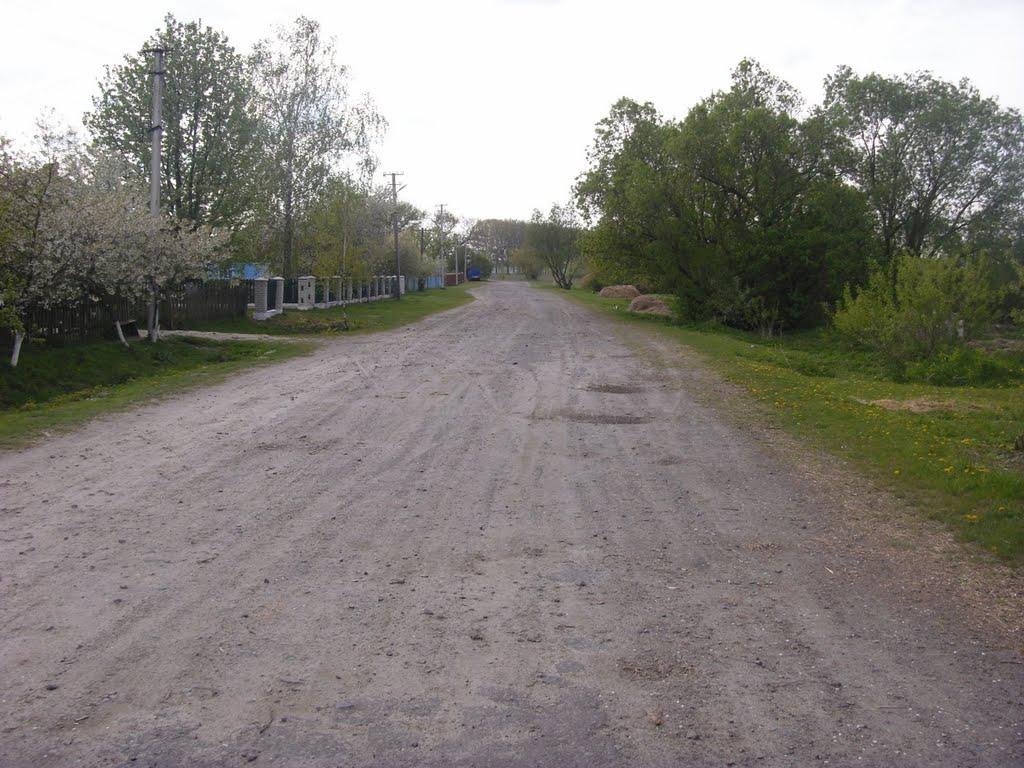 Чмикос з panoramio.com - Чмикос