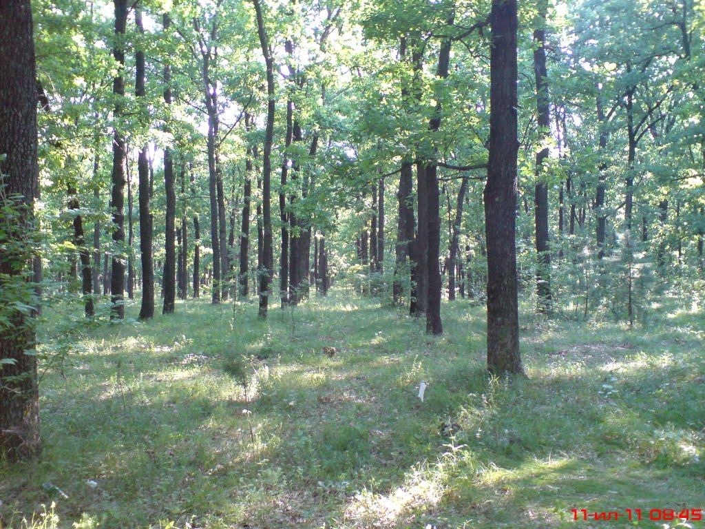 Маньківка з panoramio.com - Маньківка