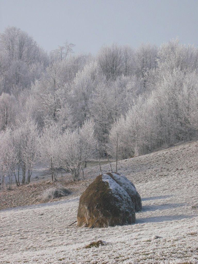 Хмелів з panoramio.com - Хмелів