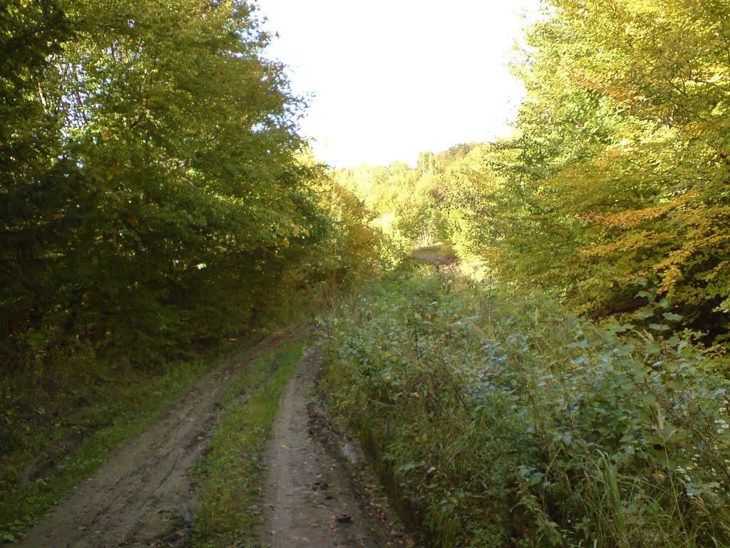 Дуляби з panoramio.com - Дулябы