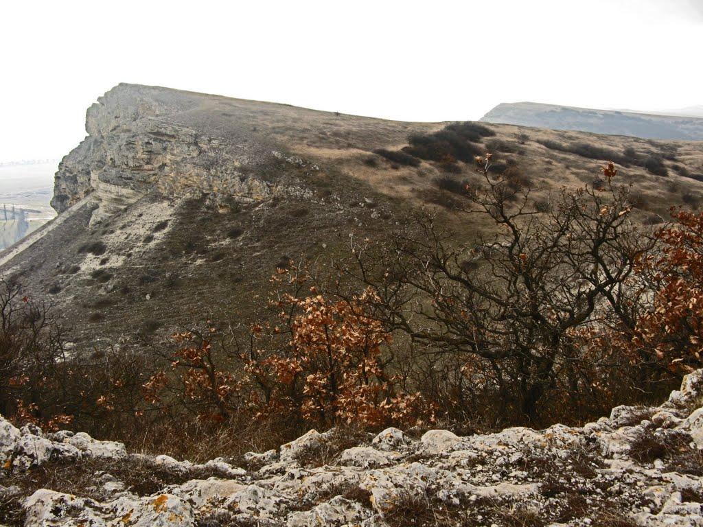 Мічурінське з panoramio.com - Мичуринское