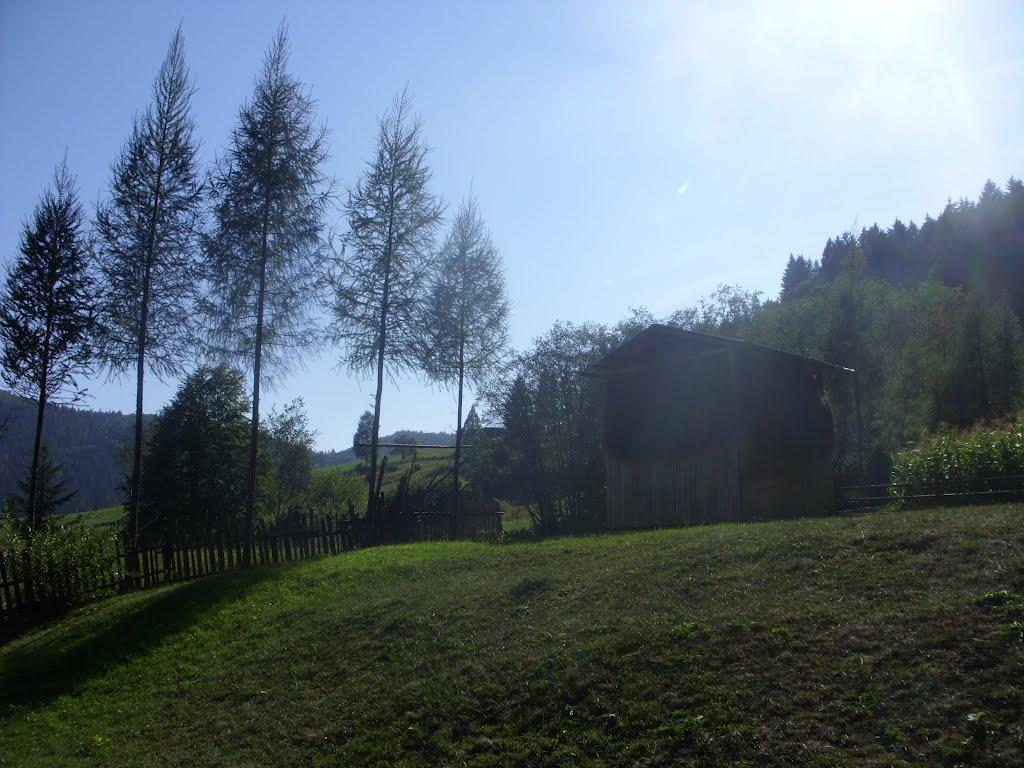 Фальків з panoramio.com (ч.2) - Фальків