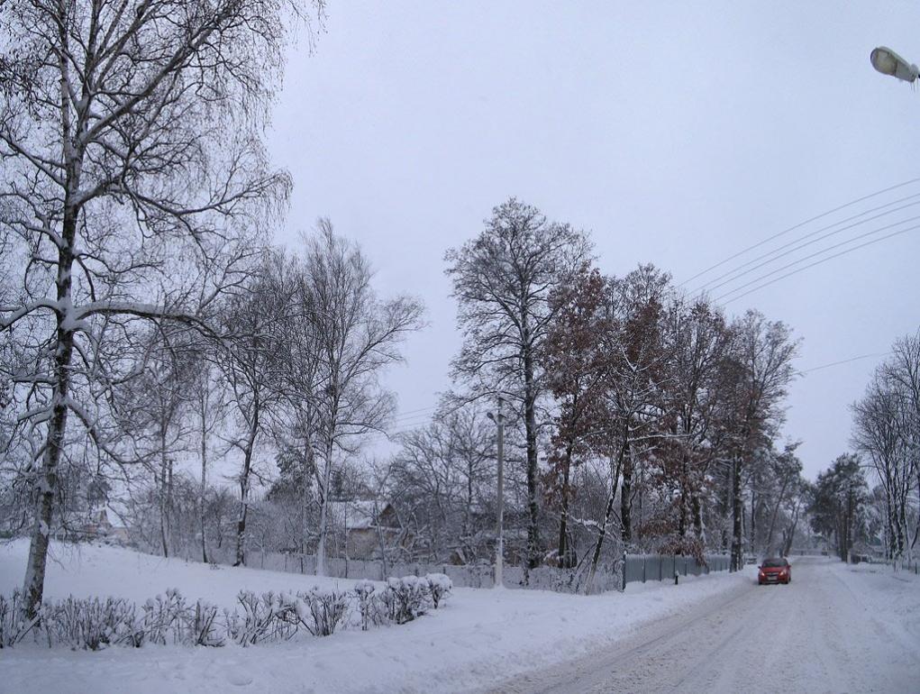 Немішаєве з panoramio.com - Немішаєве