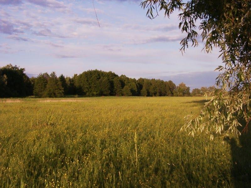 Есхар з panoramio.com - Эсхар