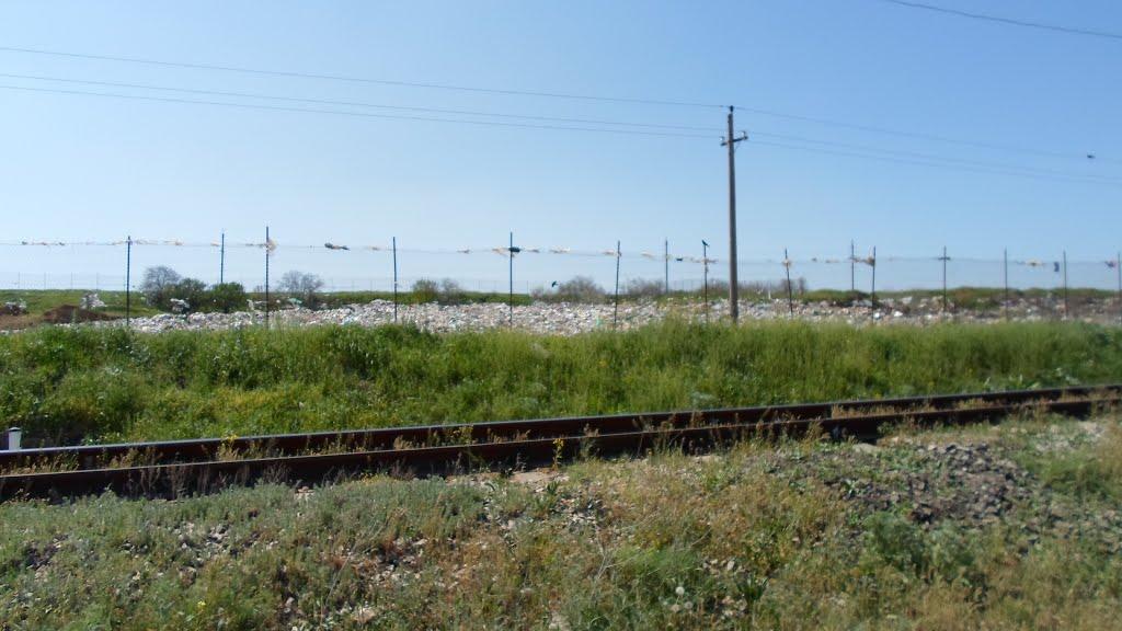 Кучурган з panoramio.com - Кучурган