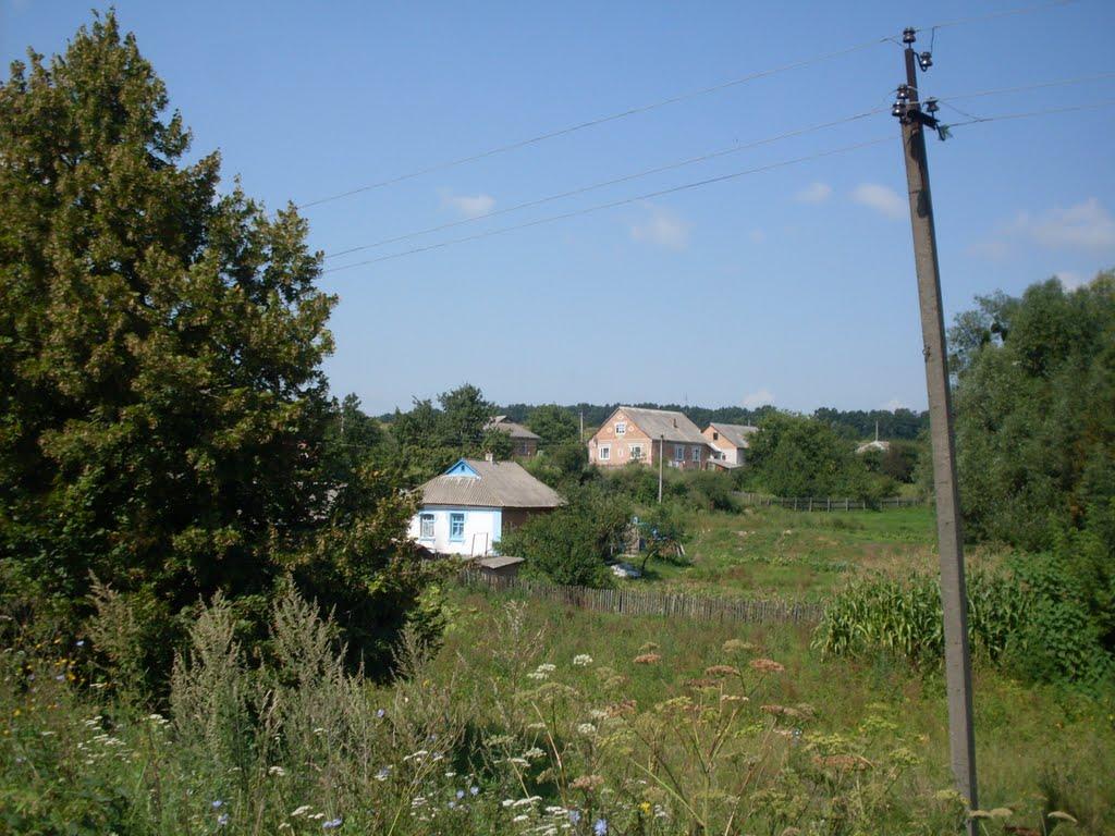 Млинки з panoramio.com - Млынки