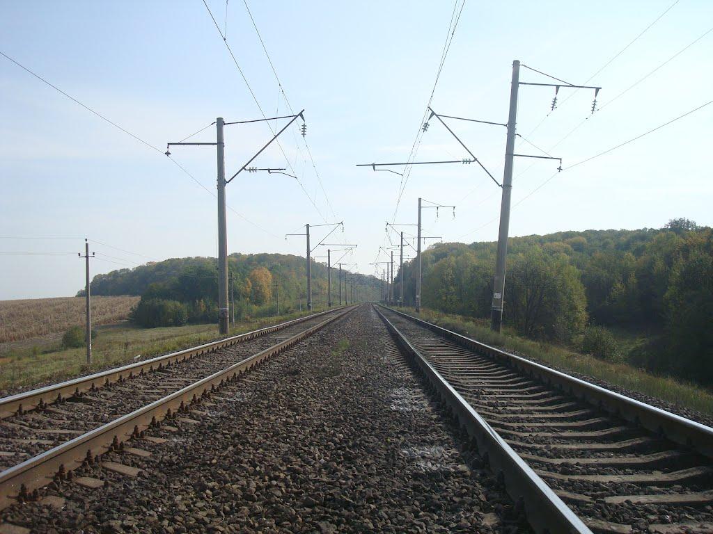 Червона Зірка з panoramio.com - Червона Зірка