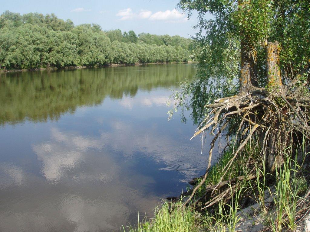 Вища Дубечня з panoramio.com - Вища Дубечня