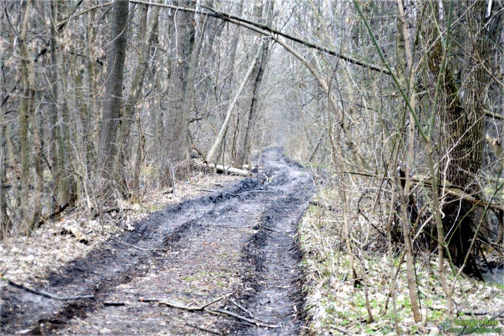 Терентіївка з panoramio.com - Терентиевка