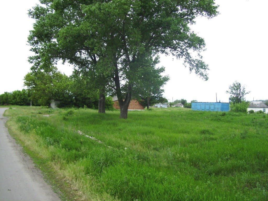 Лозне з panoramio.com - Лозное