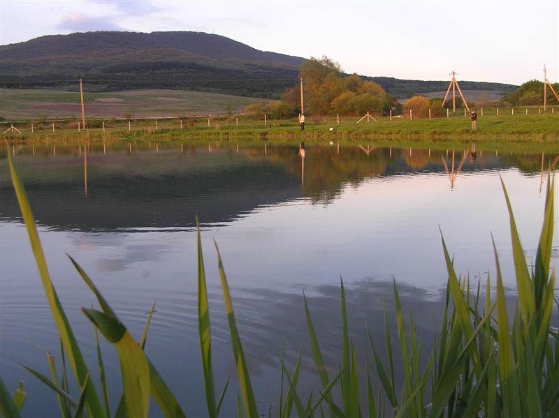 Синьокам'янка з panoramio.com - Синекаменка