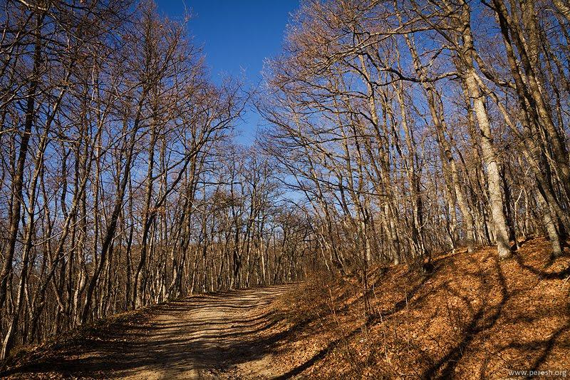 Орлине з panoramio.com - Орлине