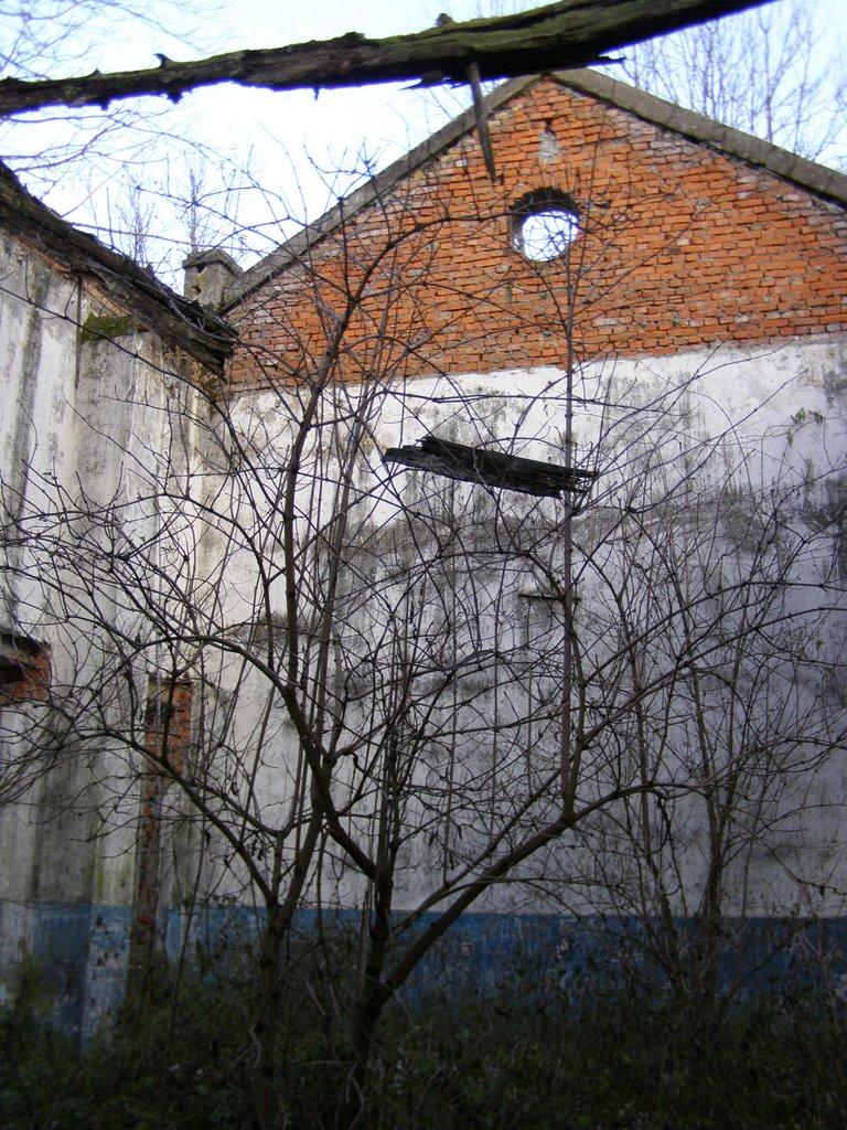 Барди з panoramio.com - Барди