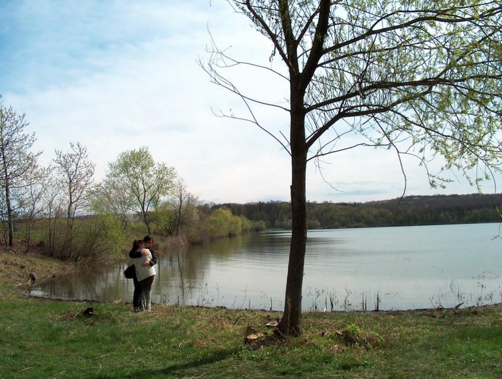 Великі Береги з panoramio.com - Velyki Beregy