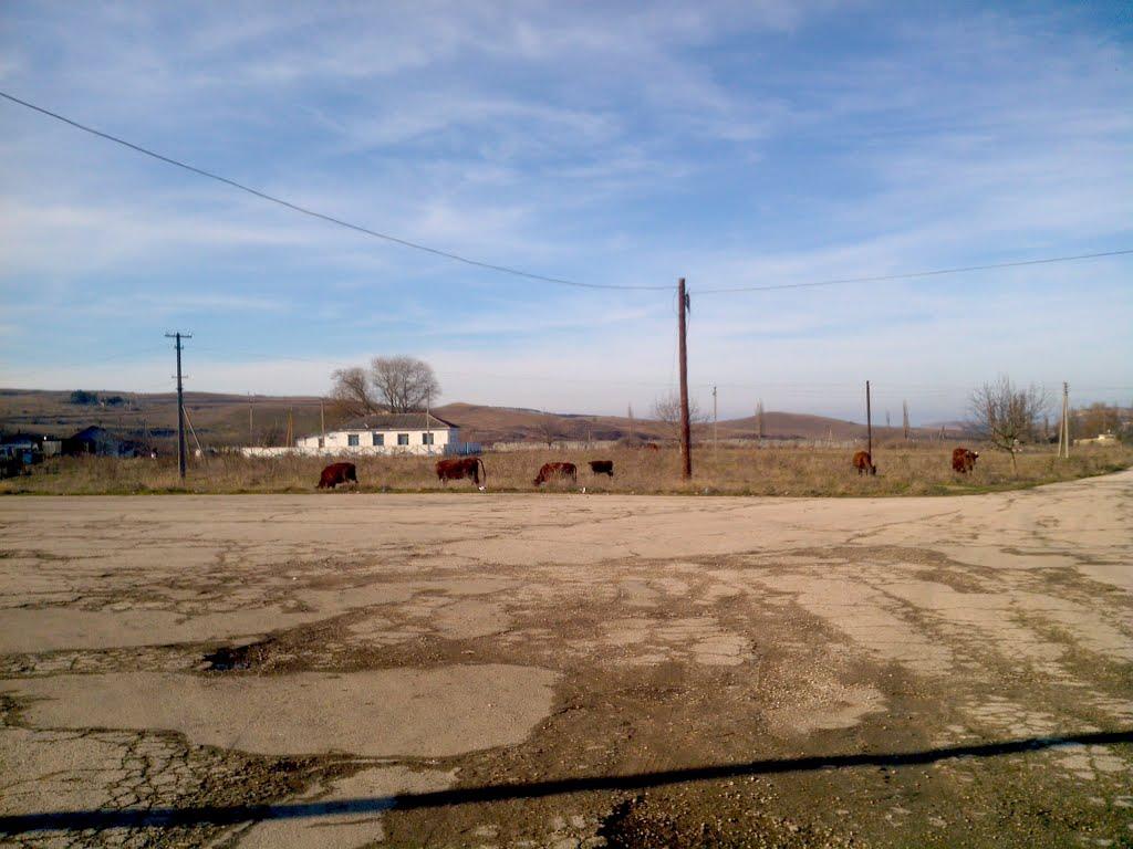 Багате з panoramio.com - Багате