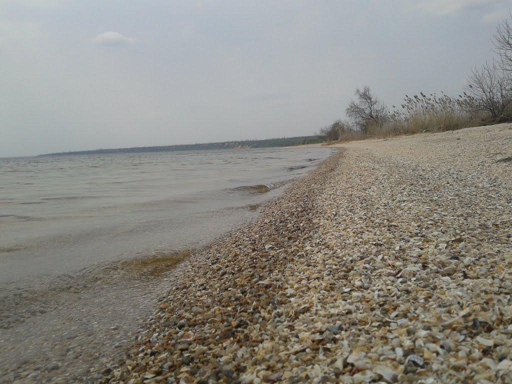 Солончаки з panoramio.com - Солончаки