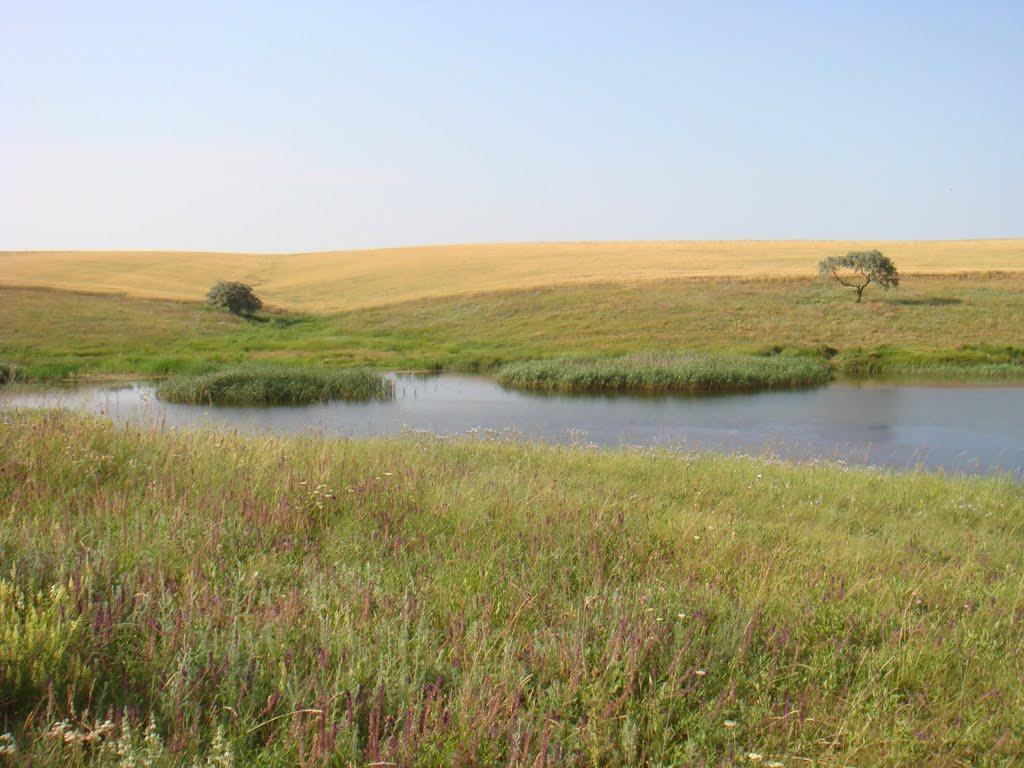 Переможне з panoramio.com - Переможное