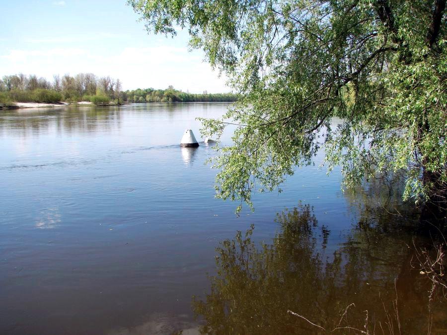 Вища Дубечня з panoramio.com - Высшая Дубечня