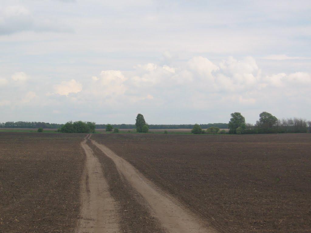 Товстоліс з panoramio.com - Толстолес