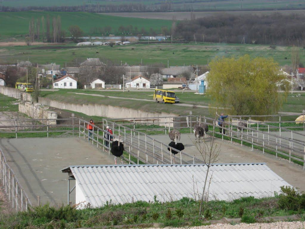 Денисівка з panoramio.com - Денисівка