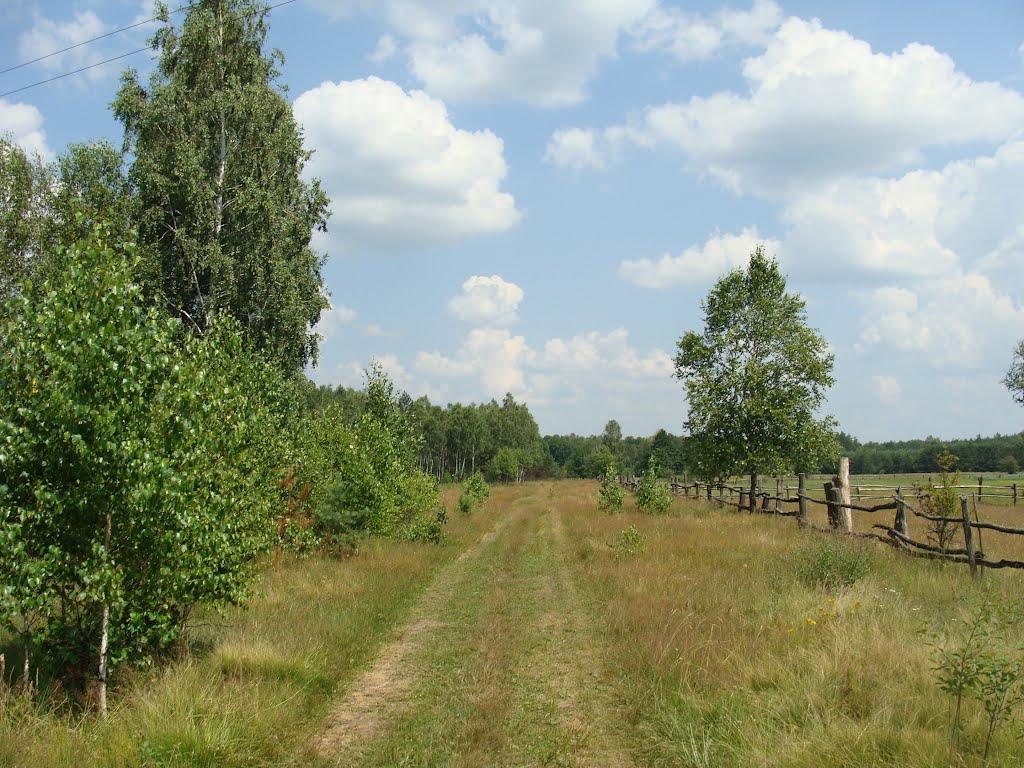 Річки з panoramio.com - Річки