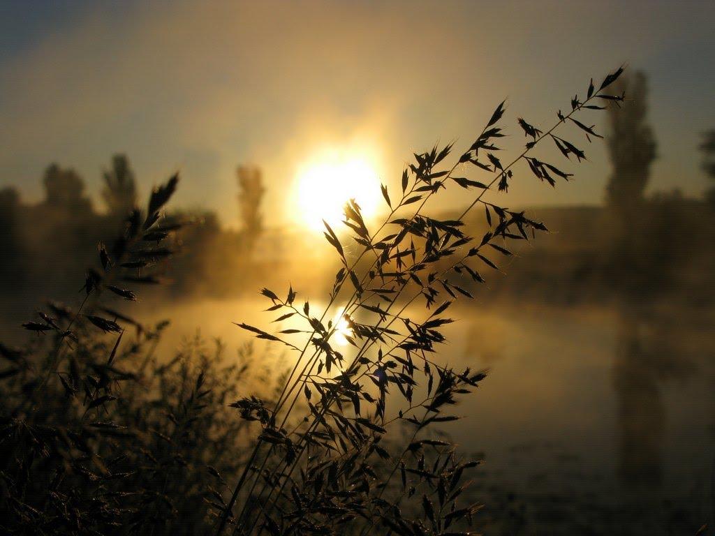 Кліщів з panoramio.com - Кліщів