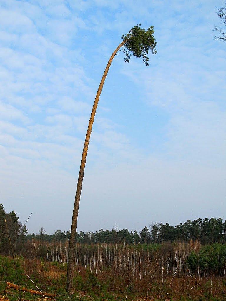 Полонне з panoramio.com - Полонное