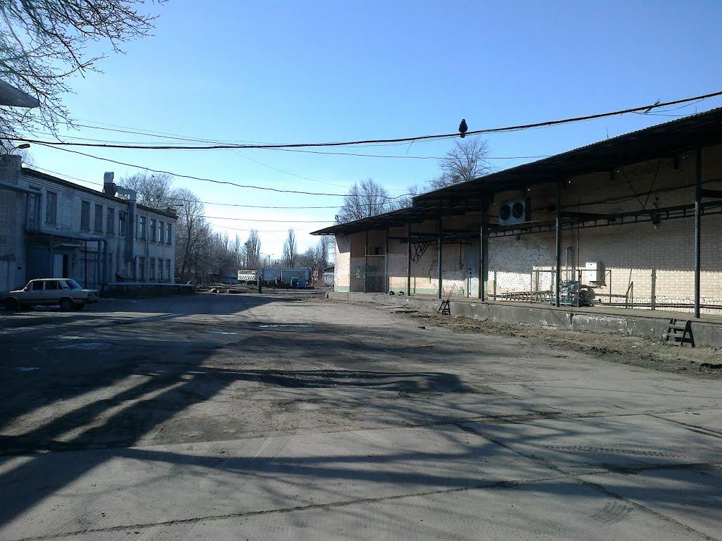Золотоноша з panoramio.com - Золотоноша