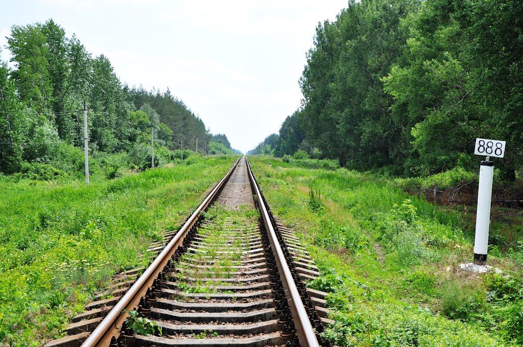 Половинкине з panoramio.com - Половинкине