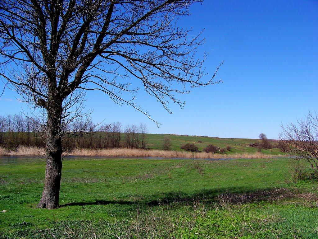 Гурівка з panoramio.com - Гуровка