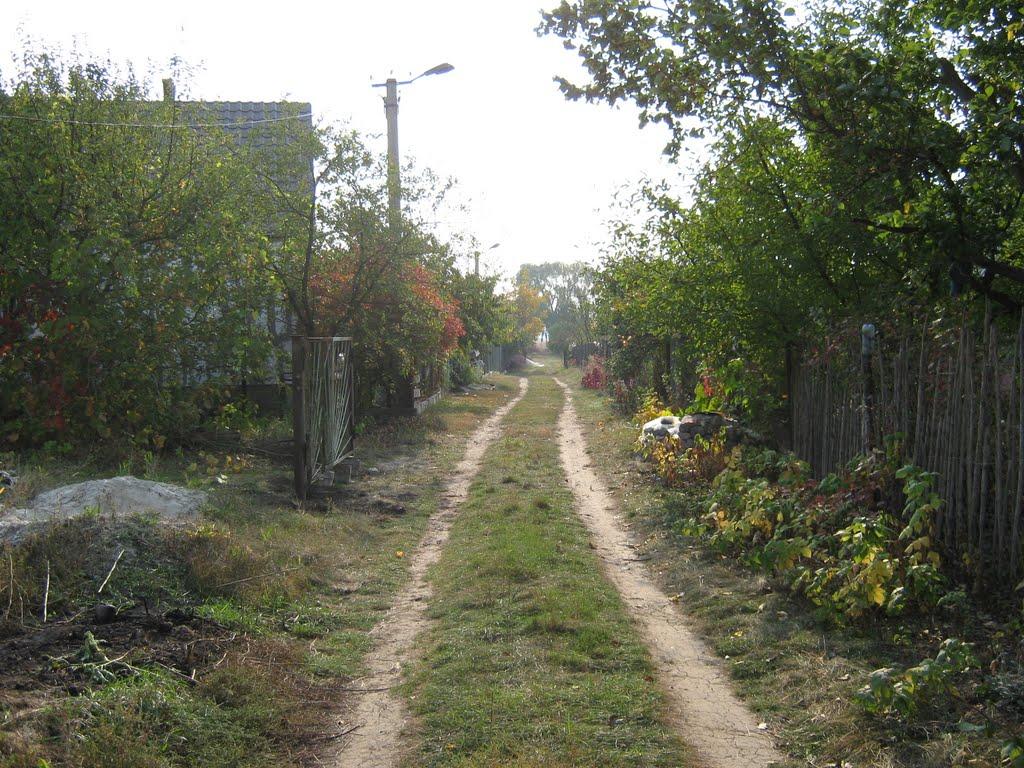 Спаське з panoramio.com - Спасское