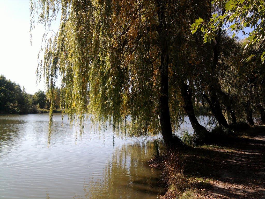 Агрономічне з panoramio.com - Агрономічне