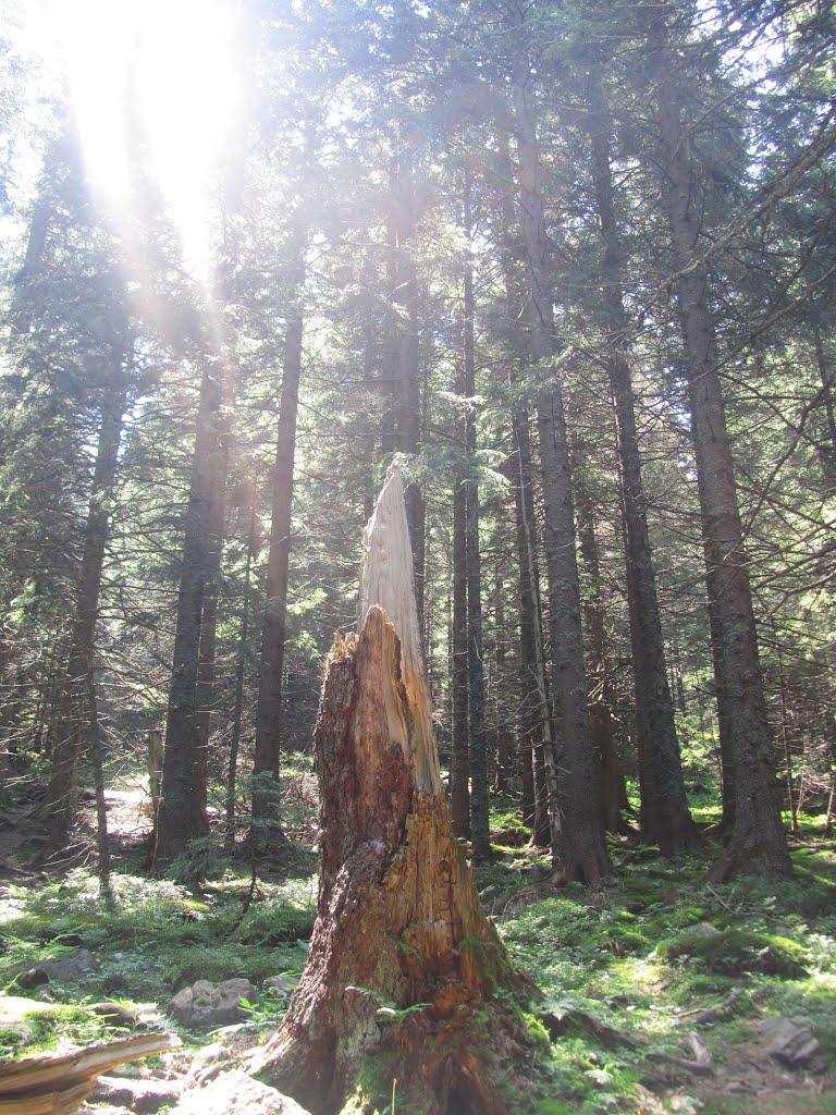 Берестечко з panoramio.com (ч.2) - Berestechko