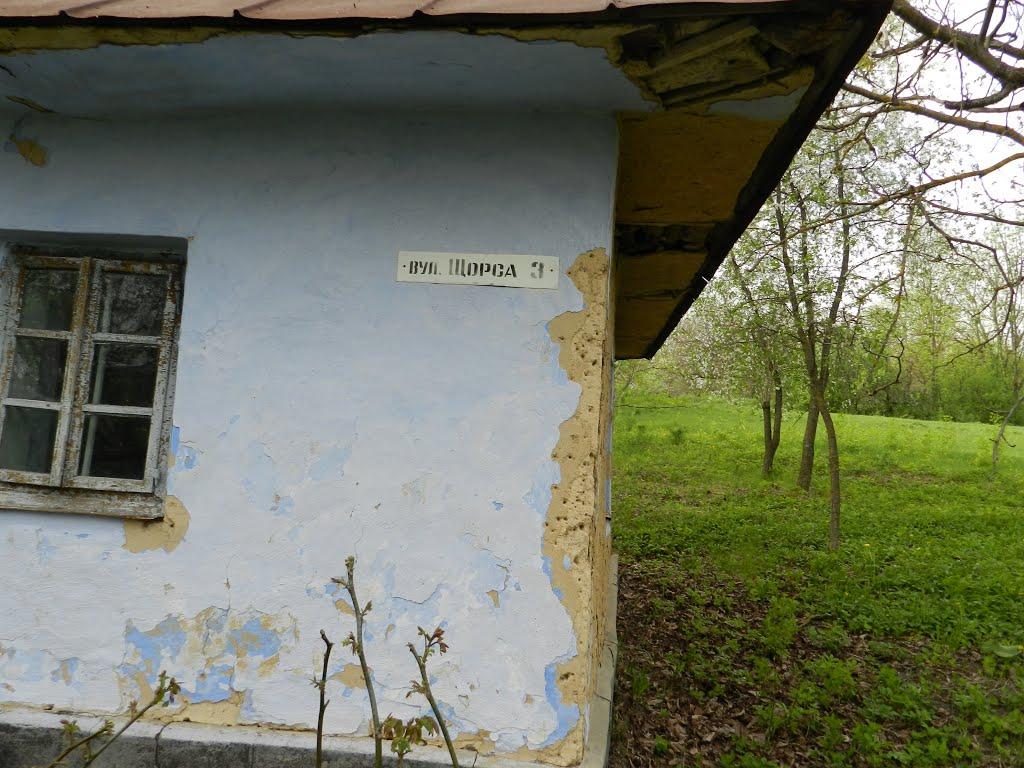 Борсуки з panoramio.com - Борсуки