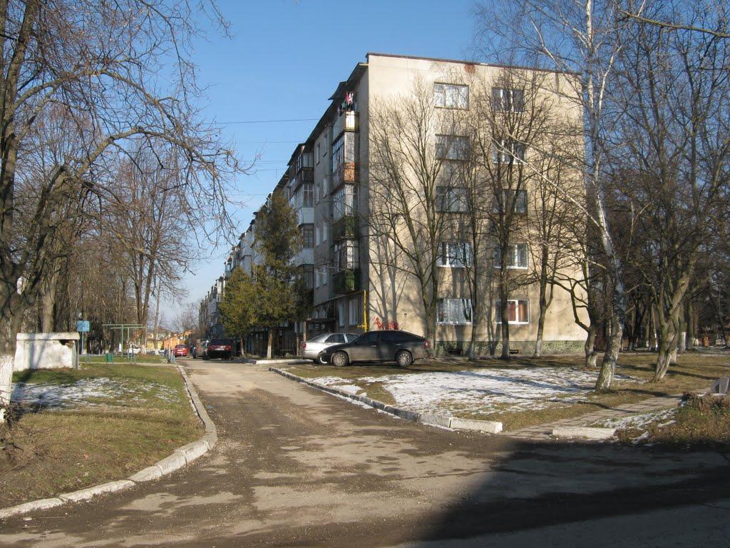 Бурштин з panoramio.com - Бурштын