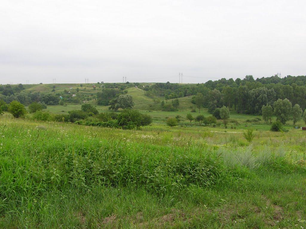Барахти з panoramio.com - Barakhty