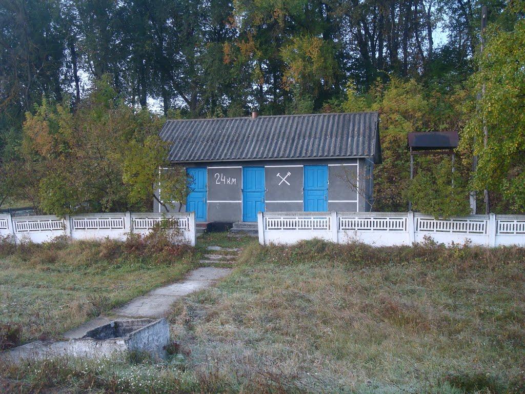 Лісогірка з panoramio.com - Лесогорка