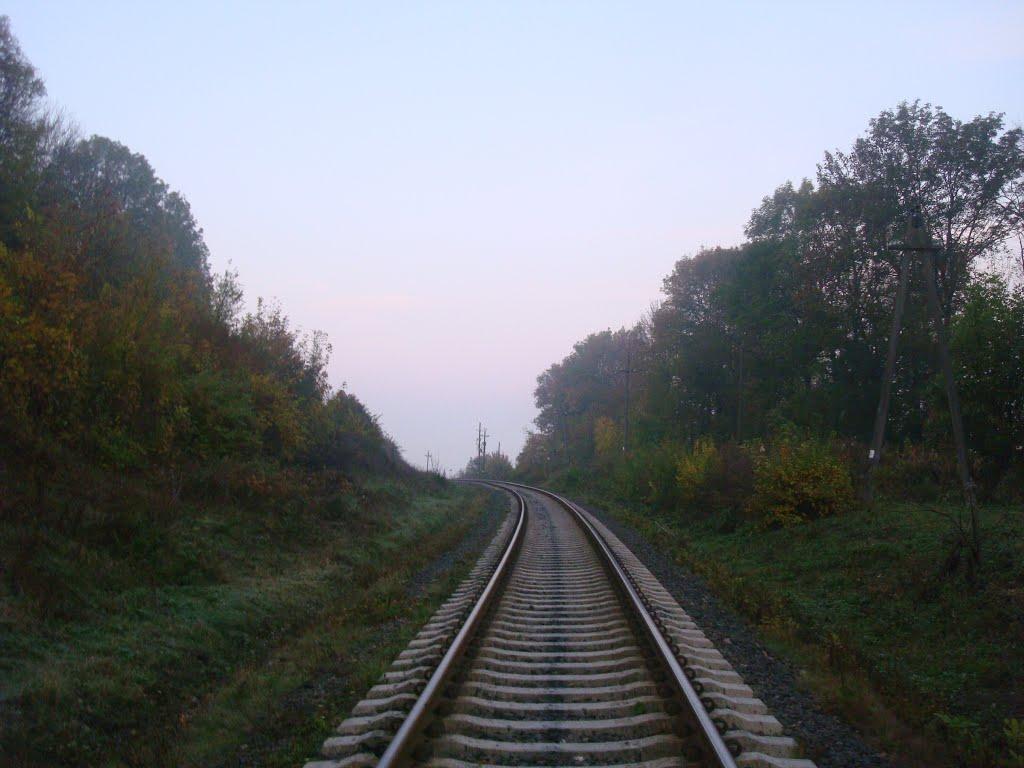 Городок з panoramio.com - Gorodok
