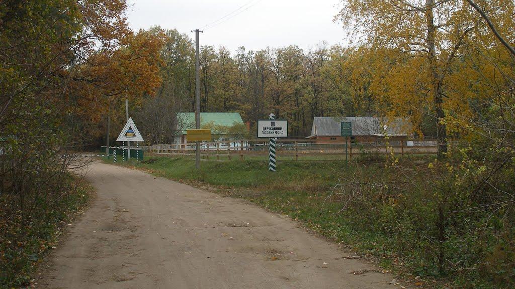 Маньківка з panoramio.com - Маньківка