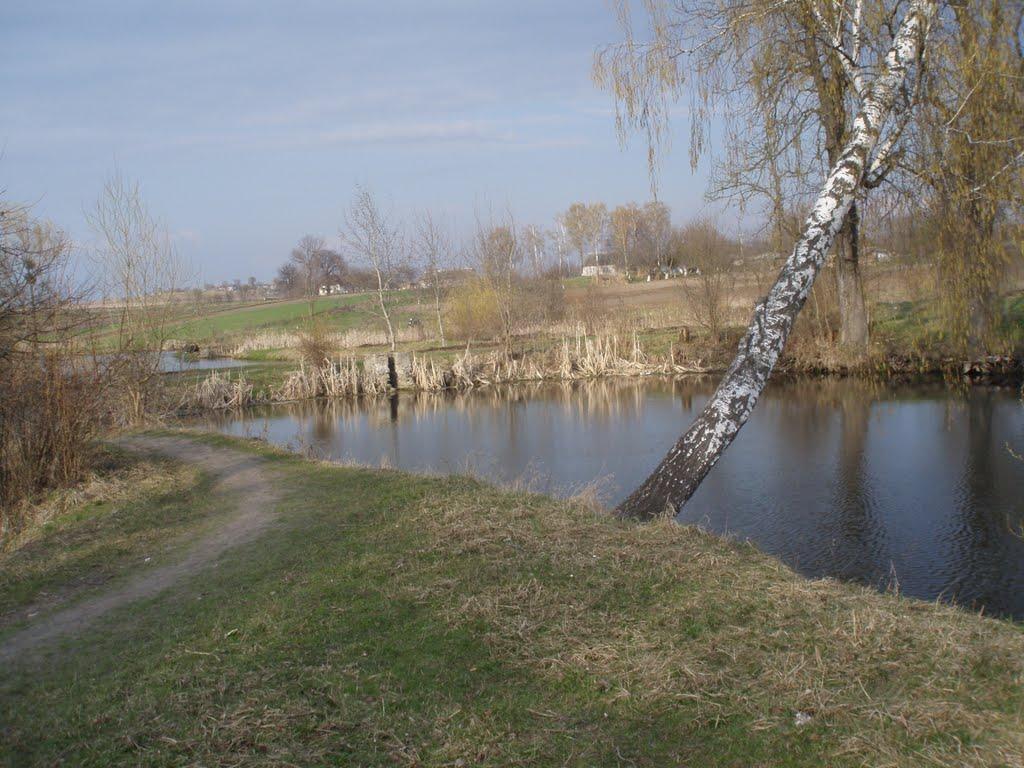 Цурків з panoramio.com - Цурків