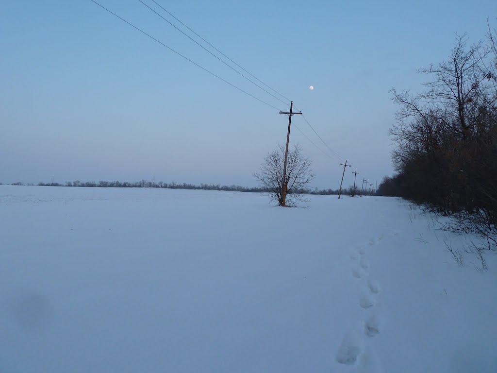 Микільське з panoramio.com - Mykilske