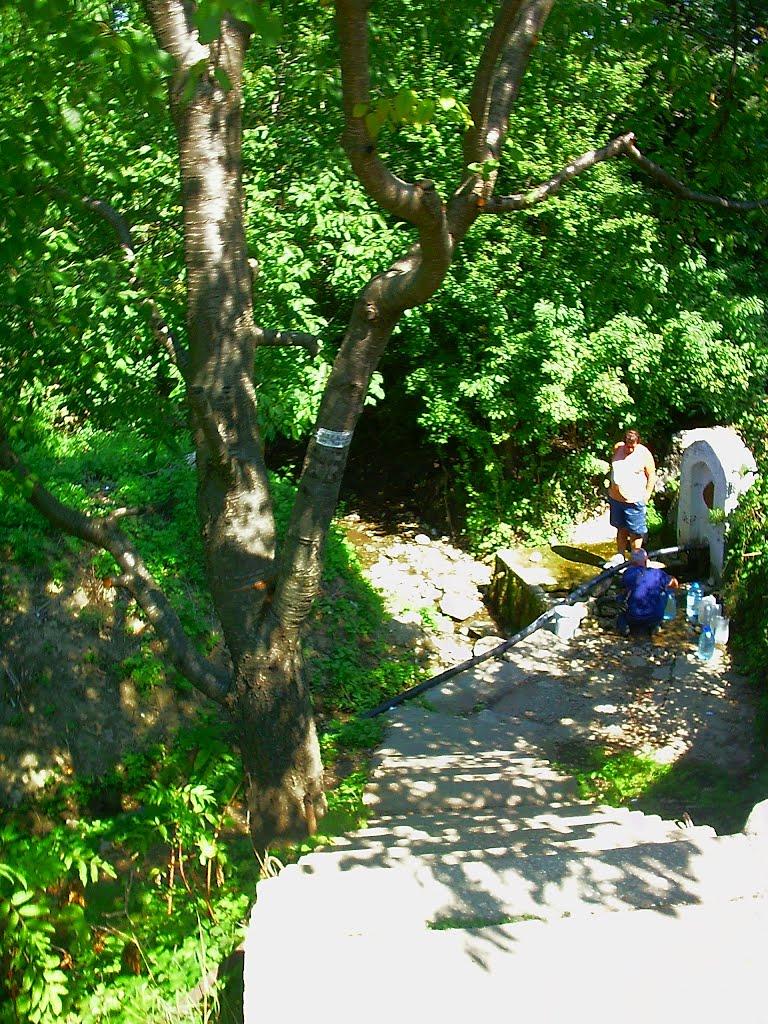 Плотинне з panoramio.com - Плотинное