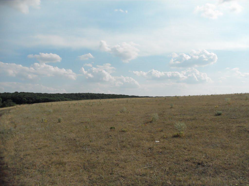 Верхня Орілька з panoramio.com - Верхня Орілька