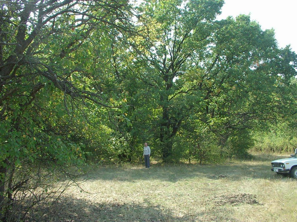 Кружилівка з panoramio.com - Kruzhylivka