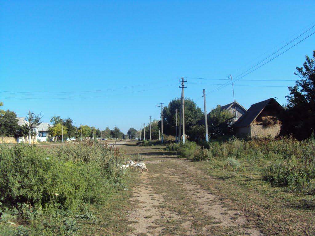 Малоярославець Другий з panoramio.com - Малоярославець Другий