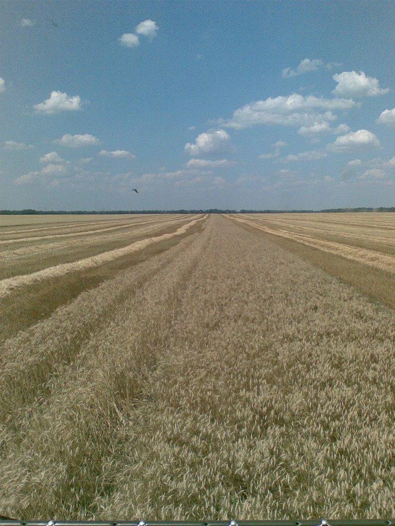 Добрівка з panoramio.com - Добрівка