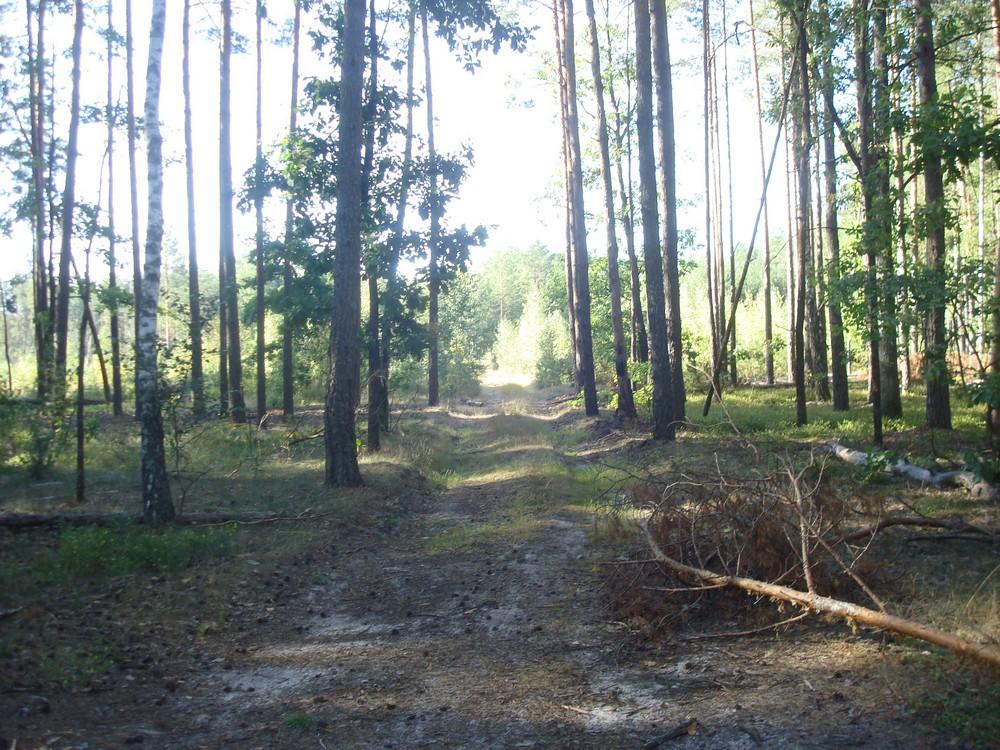 Бондарня з panoramio.com - Бондарня