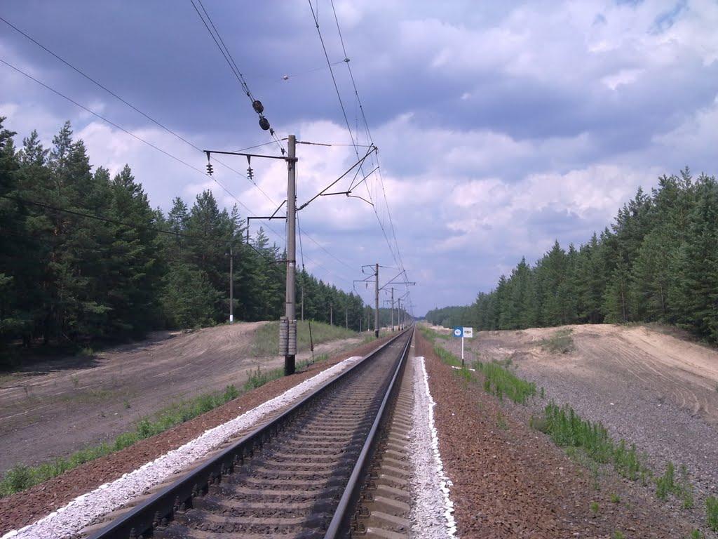 Студенок з panoramio.com - Студенок