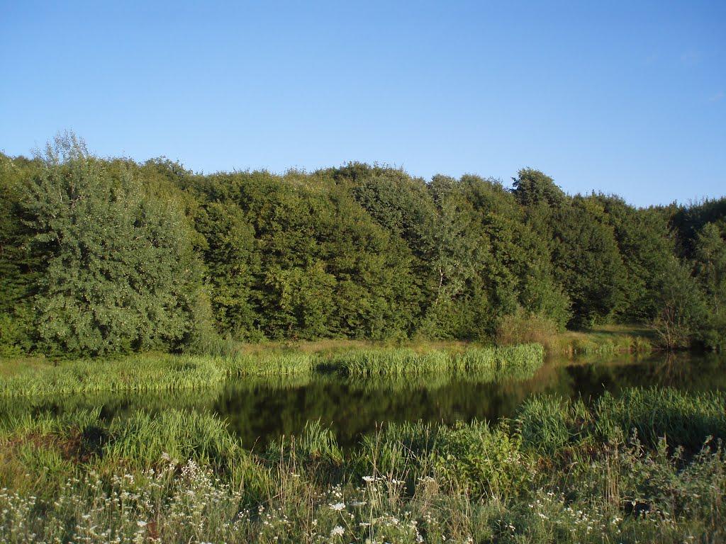 Спасів з panoramio.com - Спасів