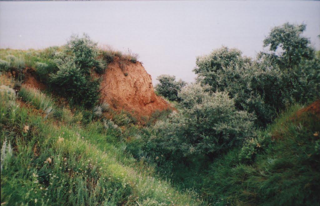 Котовка з panoramio.com - Котовка